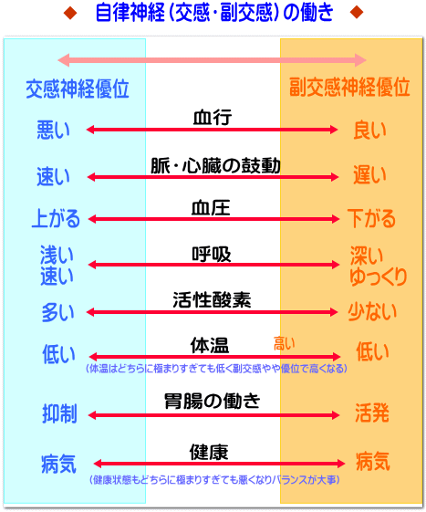 自律神経について 奈良生駒市の自律神経調整整体 まるふく総合整体院