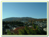 整体院からの風景